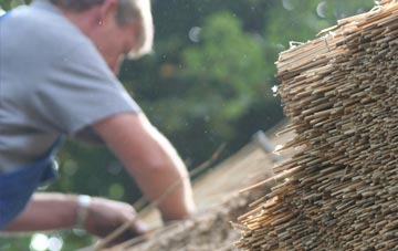 professional Trebanos thatchers